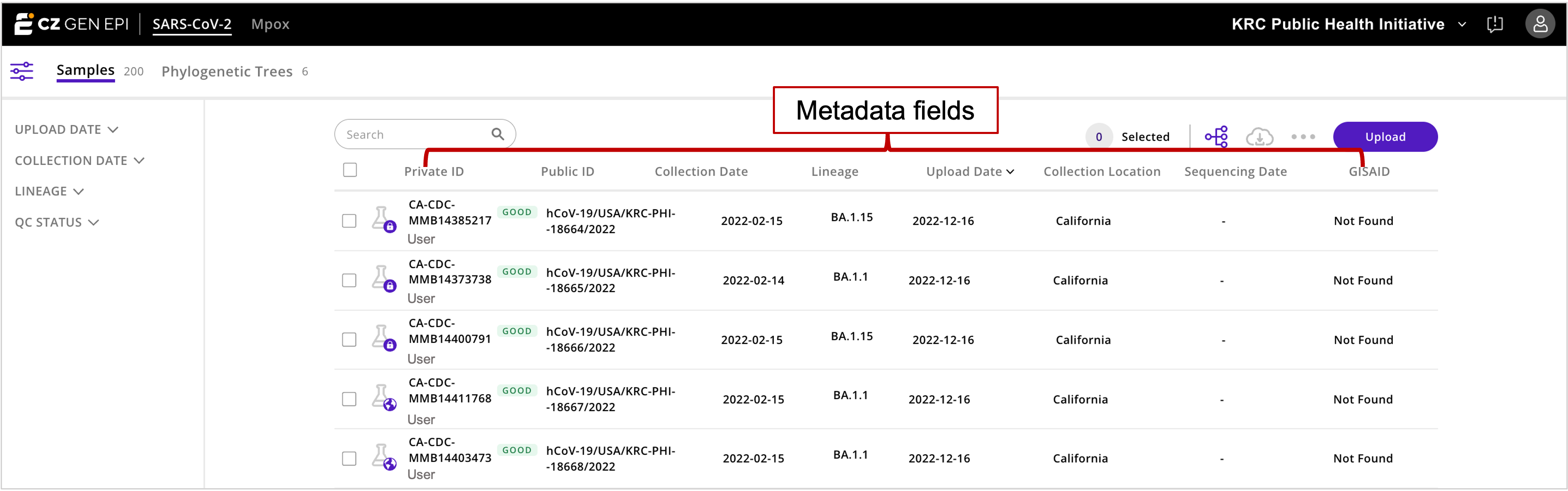 SamplePage_MetadataFields.png